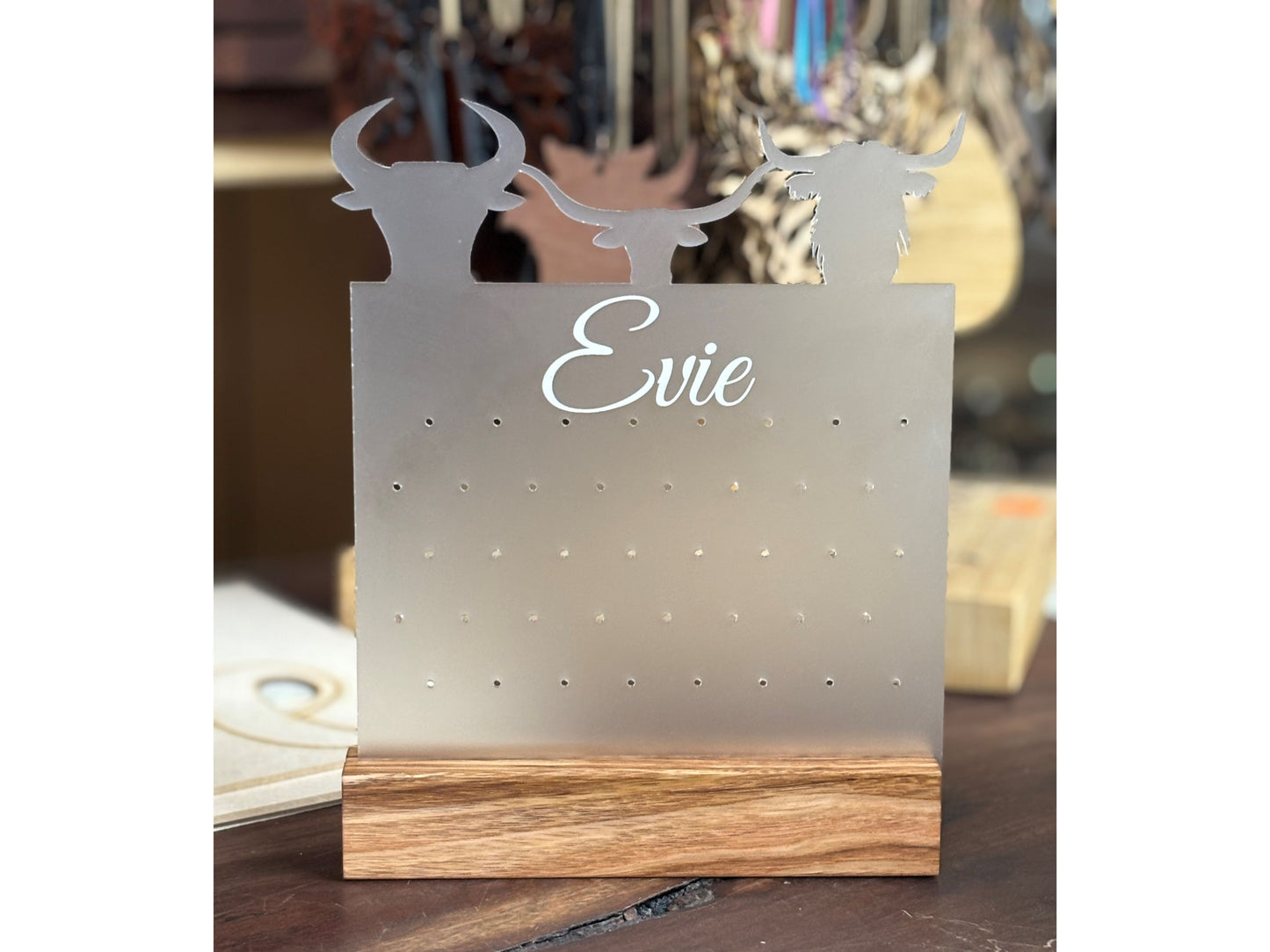 Earring Holder