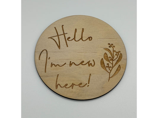 Baby Milestone Plaque - Hello I'm New Here