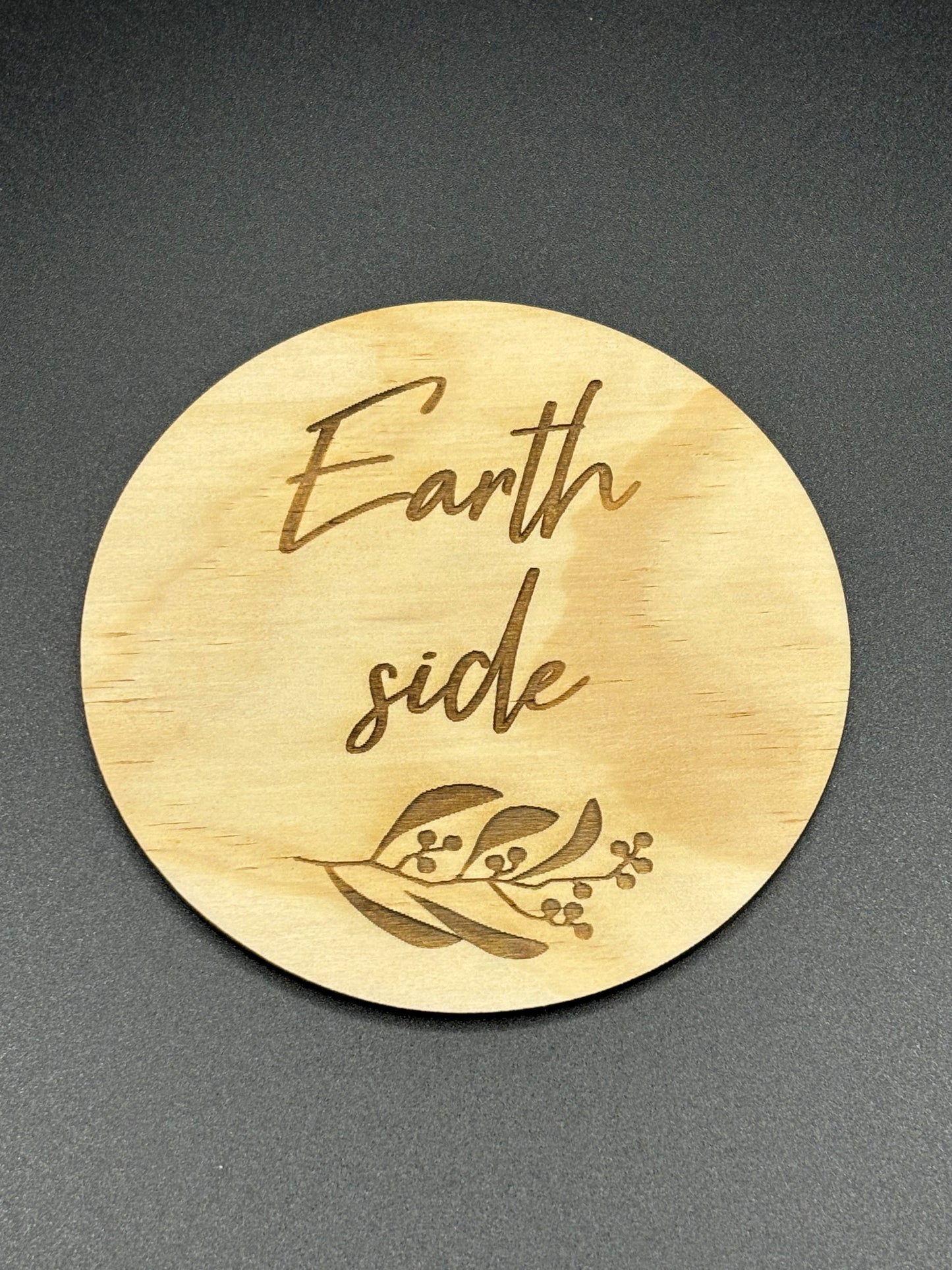 Baby Milestone Plaque - earth side