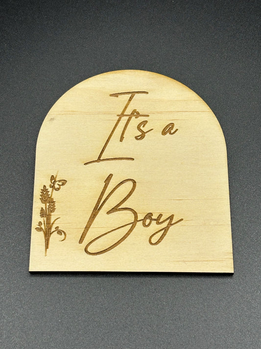Baby Milestone Plaque - Its a boy